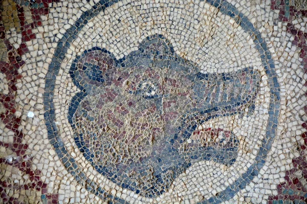 Antigo Mosaico Romano Urso Executado Cores Vibrantes Villa Romana Del — Fotografia de Stock