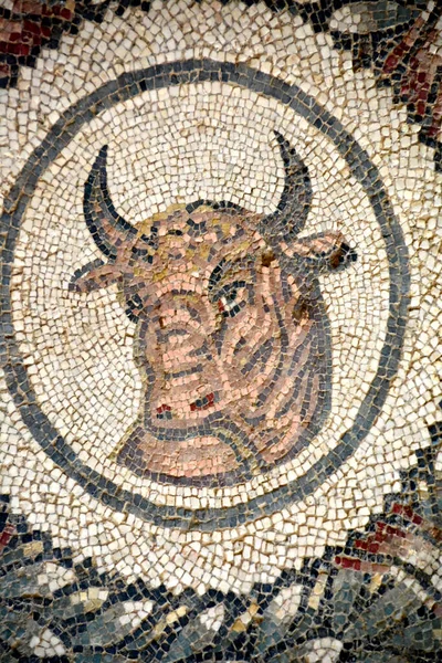 Ancient Roman Mosaic Bull Executado Cores Vibrantes Villa Romana Del — Fotografia de Stock