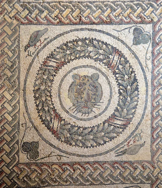 Antico Mosaico Romano Grande Felino Eseguito Colori Vivaci Dalla Villa — Foto Stock