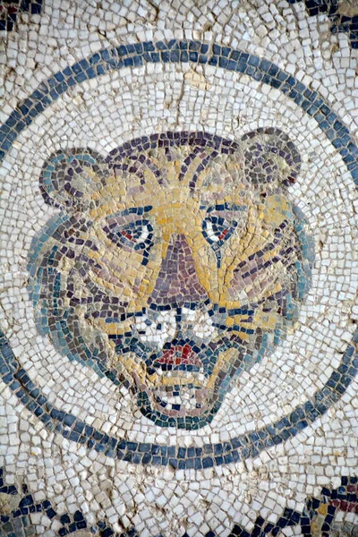 Antigo Mosaico Romano Tigre Executado Cores Vibrantes Villa Romana Del — Fotografia de Stock