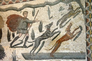 Tilki 'nin Antik Roma Mozaiği iki Sighthound (Romalılara Vertragus) ile avlanıyor. Villa Romana del Casale 'den