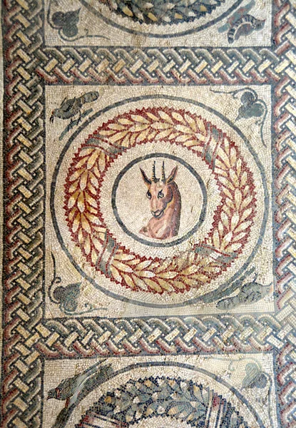 Antikes Römisches Mosaik Eines Rehhirsches Leuchtenden Farben Aus Der Unesco — Stockfoto