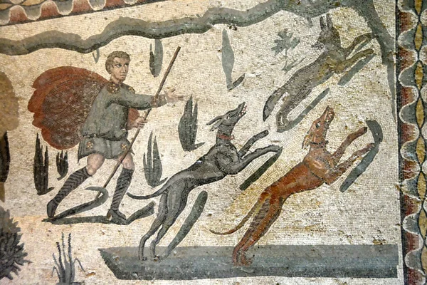 Antiguo Mosaico Romano Fox Cazando Con Dos Sighthounds Vertragus Romans —  Fotos de Stock