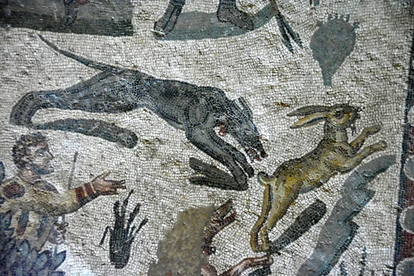 Antiguo Mosaico Romano Caza Liebre Con Sighthounds Mostrando Liebre Huyendo — Foto de Stock