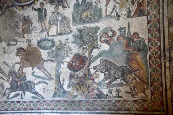 Ancient Roman Mosaic Wild Boar Hunting Noble Romano Sido Corneado —  Fotos de Stock