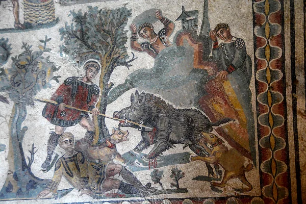 Mozaicul Roman Antic Vânătoare Mistreți Nobilul Roman Fost Condus Mistreț — Fotografie, imagine de stoc