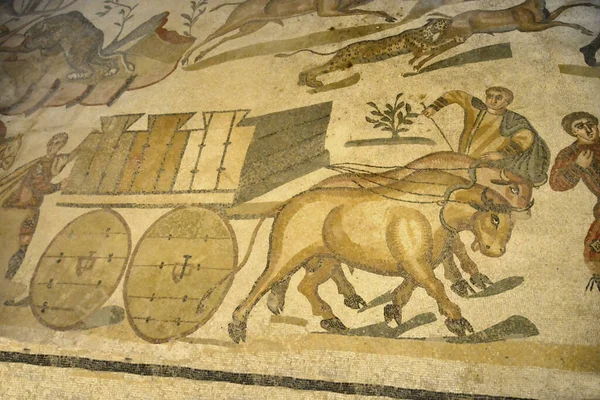 โมเสคโรม นโบราณของรถเข นหน ในการขนส วาดโดยว ในพ นหล งเส อดาวโจมต จากย — ภาพถ่ายสต็อก