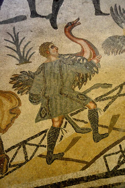 Oud Romeins Mozaïek Dat Vangst Het Transport Van Een Struisvogel — Stockfoto