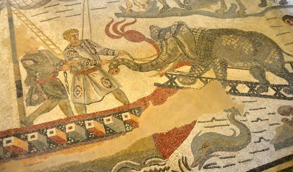 Starověká Římská Mozaiková Scéna Zachycující Římany Jak Tahají Slona Transportní — Stock fotografie