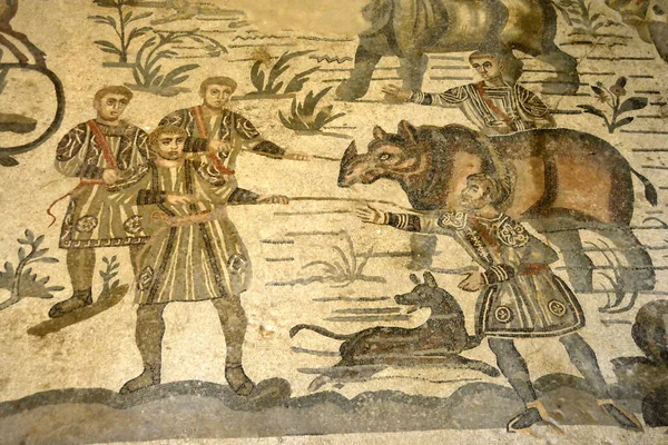 Ancient Roman Mosaic Showing Capture Rhinoceros Great Hunt Corridor Unesco — Stock Photo, Image