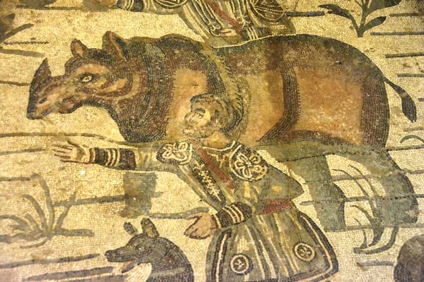 Antik Roma Mozaiği Büyük Koridoru Nda Bir Gergedanın Yakalandığını Gösteriyor — Stok fotoğraf