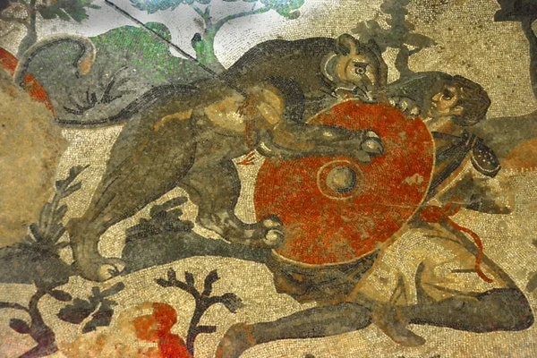 Antiguo Mosaico Romano León Herido Atacando Hombre Con Escudo Los — Foto de Stock