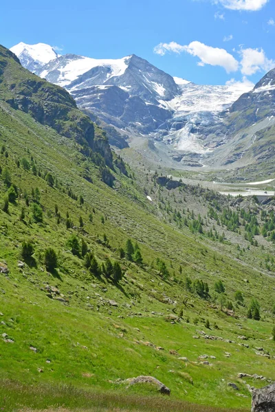 Bishorn Ltop Eft Och Turtmann Glacier Spetsen För Turtmann Valley — Stockfoto