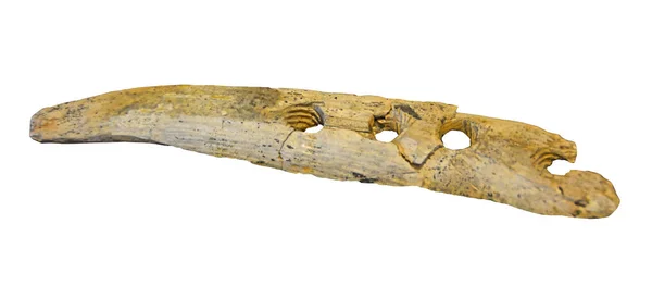 Prehistoryczne Narzędzie Robienia Lin Sprzed 000 Lat Zrobione Mamuta Kości — Zdjęcie stockowe