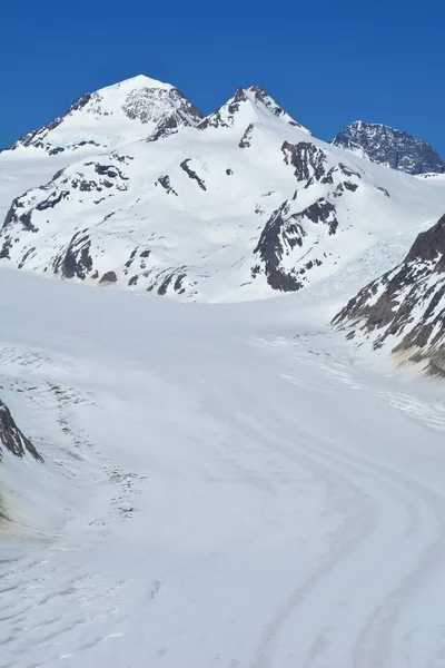 Grote Monch Links Trugberg Voorgrond Top Van Aletschgletsjer Berner Alpen — Stockfoto