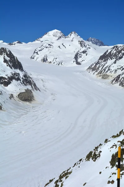 Monch Centrum Eiger Czele Lodowca Aletsch Alpach Berneńskich Nad Interlaken — Zdjęcie stockowe