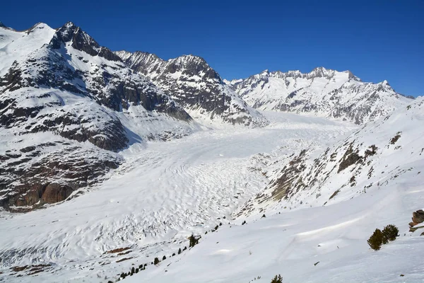 Glacier Aletsch Été Classé Par Unesco Dans Région Aletsch Jungfrau — Photo