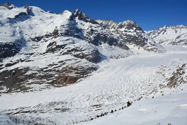 Unesco Listou Glaciar Aletsch Mais Longo Europa Nos Alpes Berneses — Fotografia de Stock