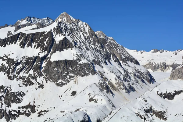 Geisshorn Pierwszy Plan Aletshhorn Alpach Berneńskich Szwajcarii Region Chroniony Unesco — Zdjęcie stockowe