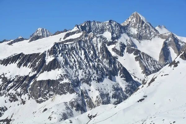 Potężny Aletschhorn Geisshorn Pierwszym Planie Alpach Berneńskich Szwajcarii Region Chroniony — Zdjęcie stockowe