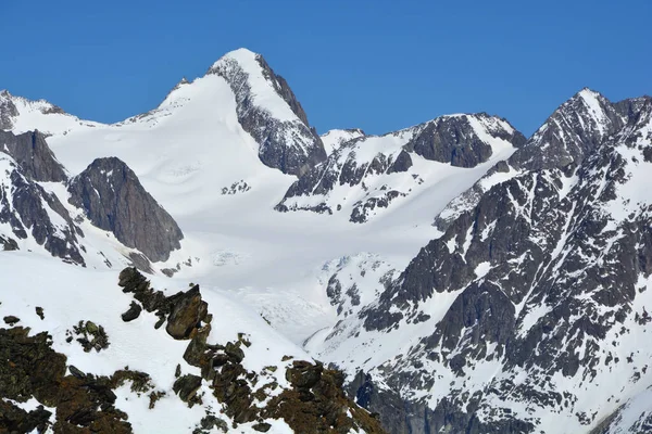 Finsteraarhorn Sviçre Deki Bernese Alpleri Nin Yüksek Tepeleri Kışın Güneyden — Stok fotoğraf