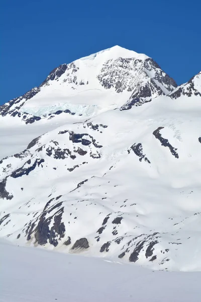 Grote Monch Top Van Aletsch Gletsjer Berner Alpen Zwitserland — Stockfoto