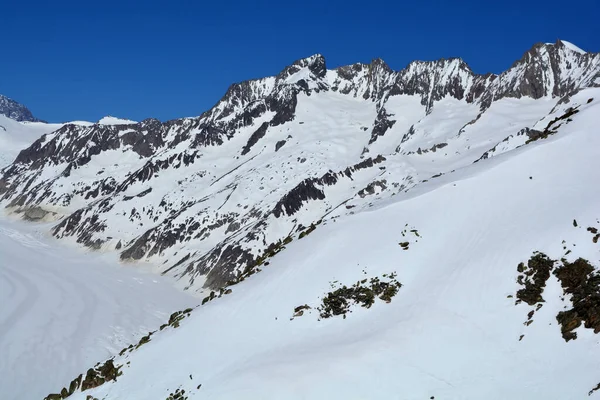 Fiescher Gabelhorn Střed Wannenhorn Vpravo Nad Ledovcem Aletsch Bernských Alpách — Stock fotografie