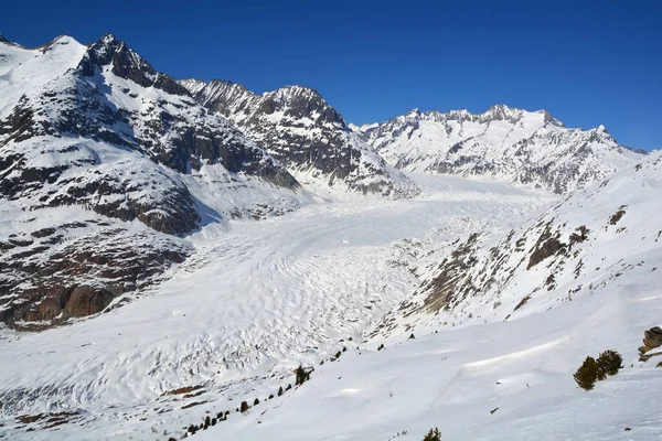 Unesco Aletsch Jungfrau Bölgesindeki Aletsch Buzulunu Listeledi Bernese Alplerinde Sviçre — Stok fotoğraf