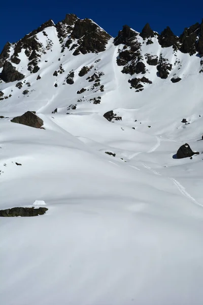 Een Paradijs Voor Wildernis Skiërs Verse Trail Sneeuw Gangen Brede — Stockfoto