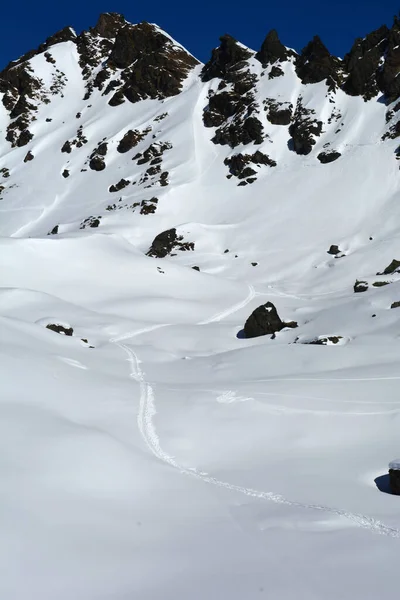 Σκι Κομμάτια Διασχίζουν Φρέσκο Χιόνι Έναν Παράδεισο Για Σκι Άγρια — Φωτογραφία Αρχείου