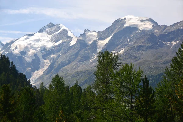 Piz Bernina Střed Piz Morteratsch Vpravo Bernina Průsmyku Jižním Švýcarsku — Stock fotografie