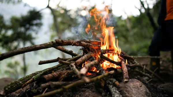 森林里的篝火取暖 为晚餐 远足和登山做饭 — 图库照片