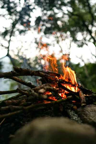 Campfire in the forest to get warm and cook food for dinner, summer nights, trekking and hiking in the mountains