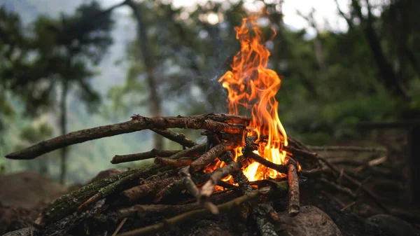 森林里的篝火取暖 为晚餐 远足和登山做饭 图库图片