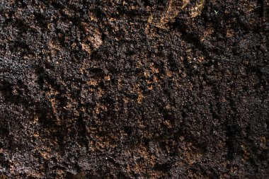 Mayalanmış kahve çekirdeği tozu, toprak bitkisi ve ağaç gübresi dokusu 
