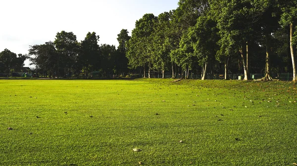 夏の公園の大きな緑の芝生のフィールドと木 家族の散歩のための巨大なスペース インドネシアのPrambanan寺院への入り口 — ストック写真