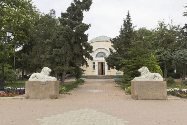 Esculturas Leões Biblioteca Pushkin Cidade Resort Evpatoria Crimeia — Fotografia de Stock