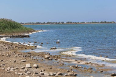 Liman Gölü, Olenevka köyü sınırları içinde, Karadeniz Bölgesi, Kırım