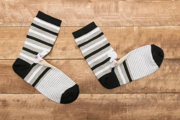 Socks l on a wooden background.