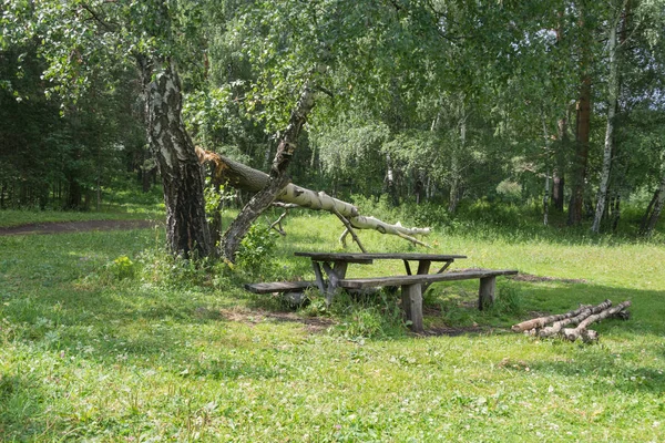 Mesa e bancos em uma clareira florestal . — Fotografia de Stock