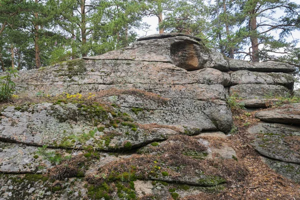 Pedra pedra como a cabeça de um crocodilo . — Fotografia de Stock