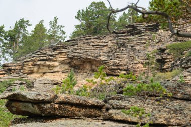 Katmanlardan oluşan kayaçlar. Yosunla kaplı taşlar