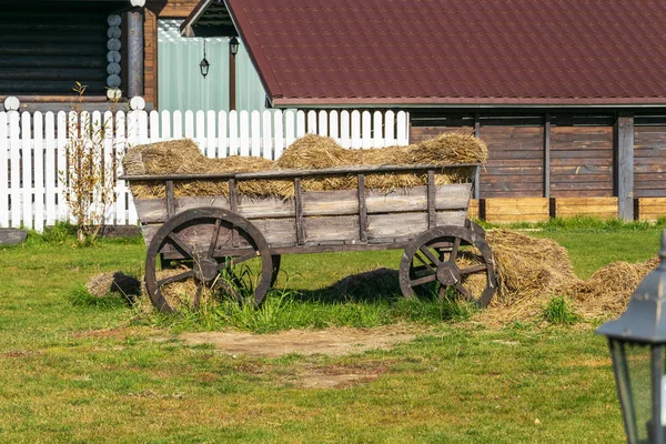 Stary Drewniany Wózek Słomką Rustykalnym Podwórku — Zdjęcie stockowe