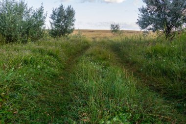 Çimenli yol uzaklara gider..