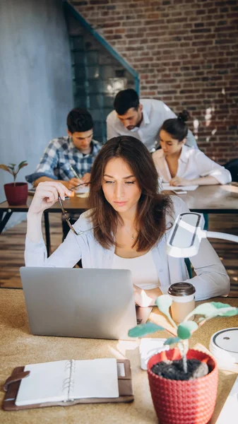 Young bearded businesswoman in denim shirt is sitting in office at table and is using laptop with charts, graphs and diagrams on screen. Man working.startu