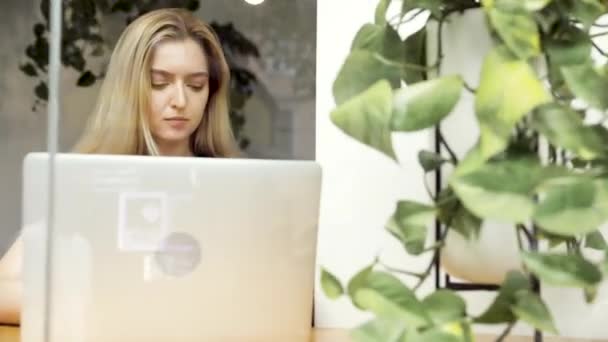 在靠笔记本电脑工作的女商人舒适地坐在窗户附近 在咖啡馆工作的迷人女孩 — 图库视频影像