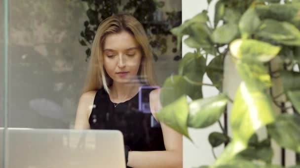 매력적인 여성은 카페에서 노트북 컴퓨터에 번호를 입력하는 온라인으로 — 비디오
