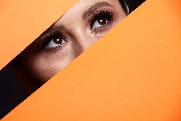 A girl with beautiful curry bright beautiful eyes with brown shadows and expressive eyebrows looks into the hole of colored paper.Fashion, beauty, make-up, cosmetics, make-up artist, beauty salon,business card.