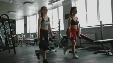 Spor kıyafetli güzel kızlar dambıllarla çömeliyor.