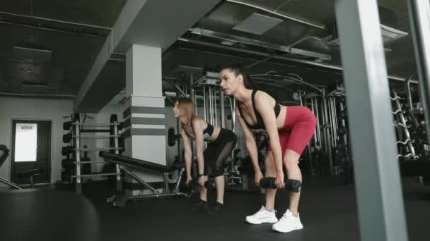 Chicas fuertes calentando las piernas antes del entrenamiento en el gimnasio — Vídeos de Stock